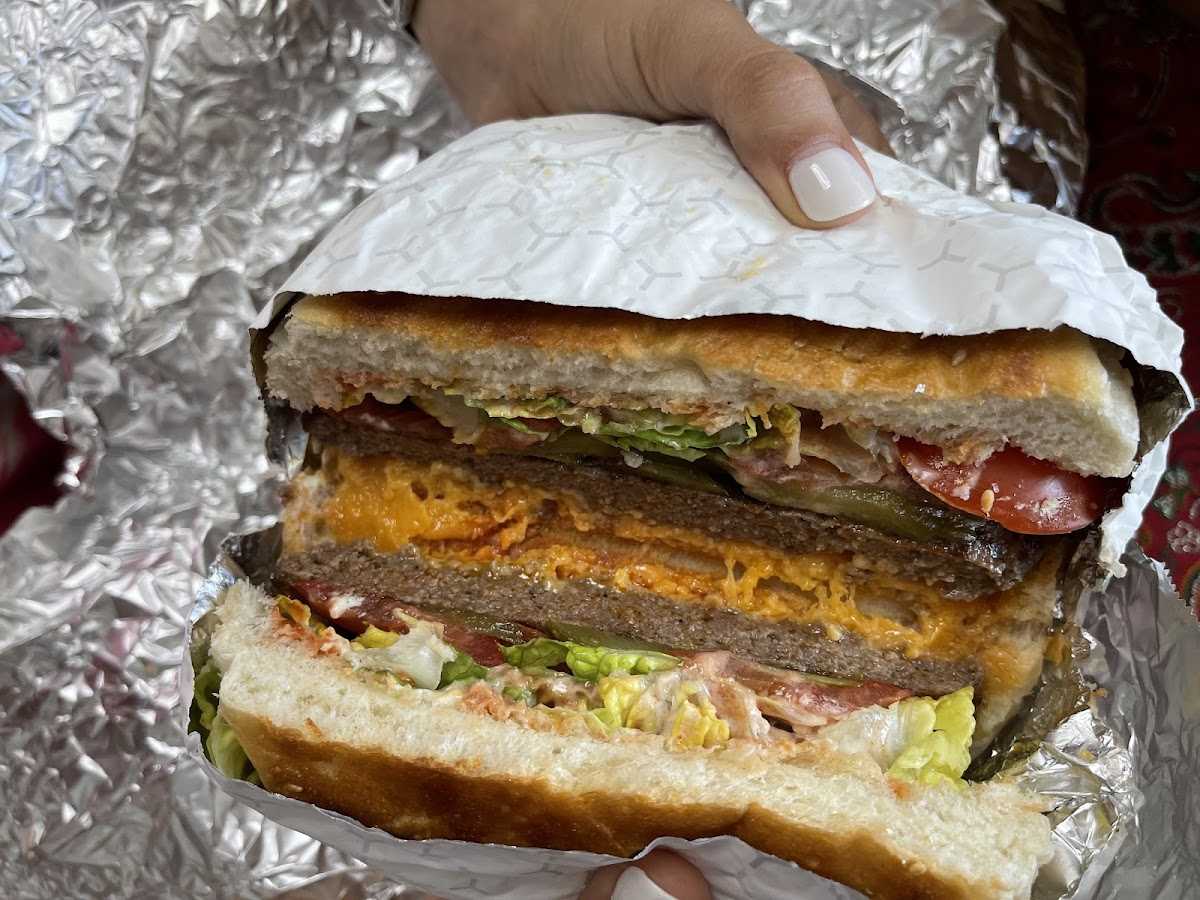 shatter abbas Queens Quay